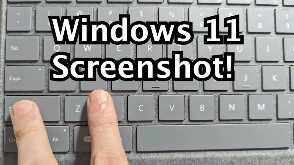 Guide to Take a Screenshot on Windows 11